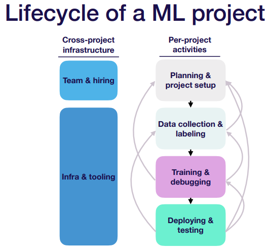 lifecycle